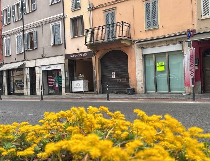negozio in affitto a Piacenza