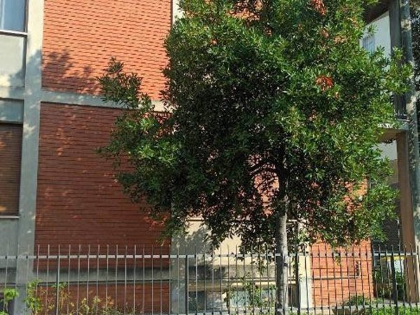 appartamento in affitto a Piacenza in zona Boselli