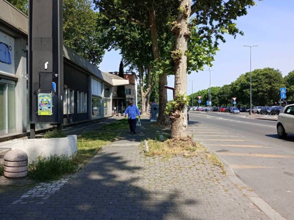 ufficio in affitto a Piacenza