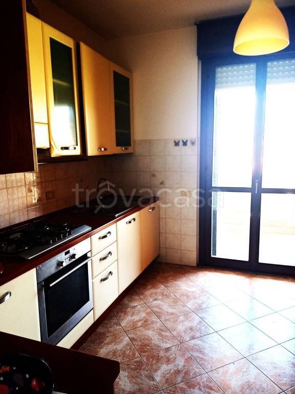 appartamento in affitto a Piacenza