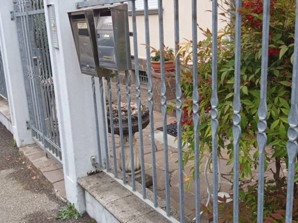 appartamento in affitto a Piacenza in zona Belvedere / Quartiere Duemila