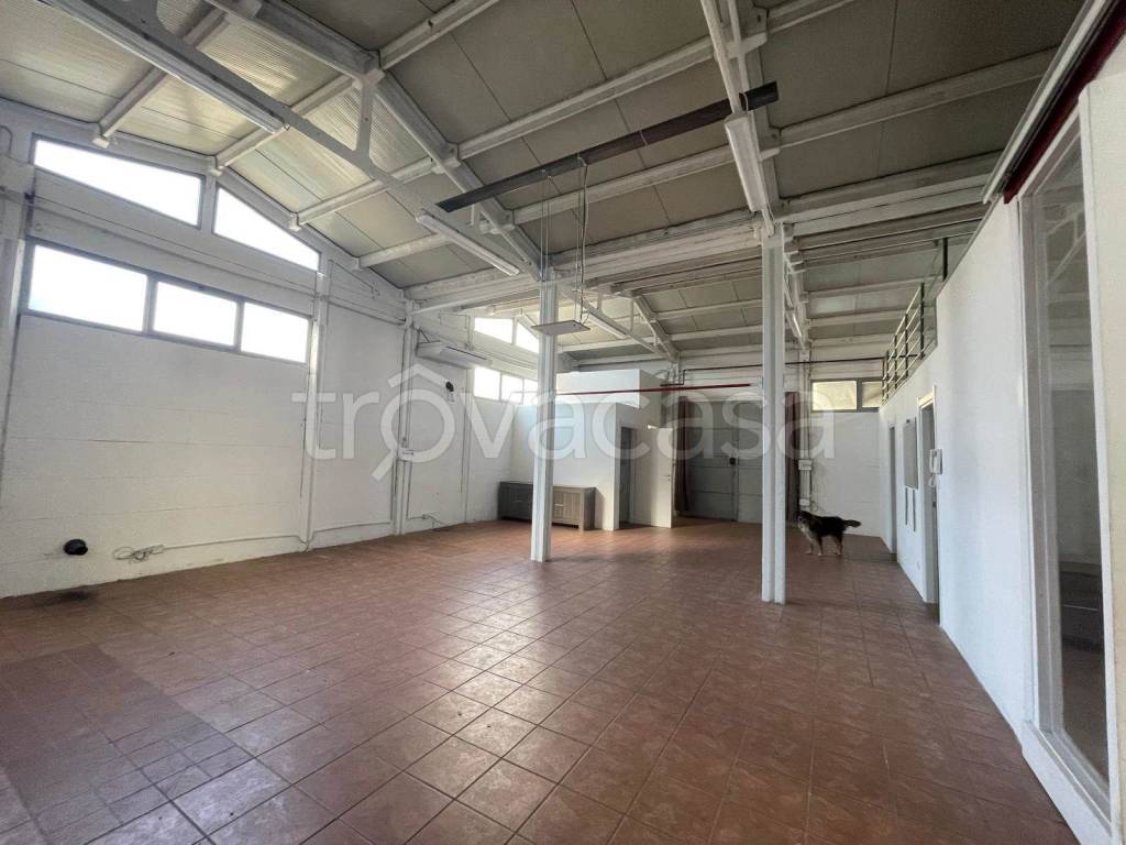 negozio in affitto a Piacenza in zona Infrangibile