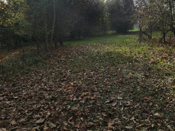 ufficio in affitto a Pontenure