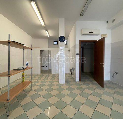 negozio in affitto a Pontenure