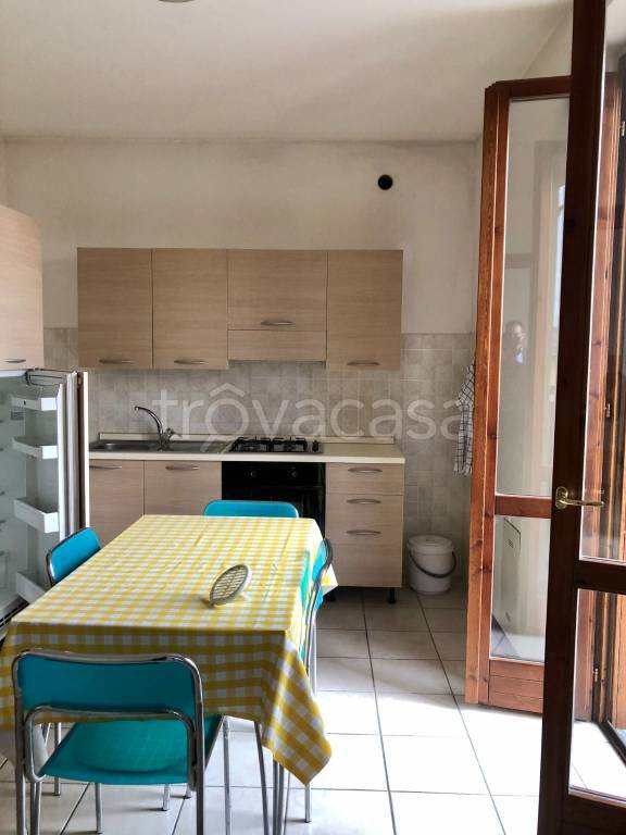 appartamento in affitto a Pontenure