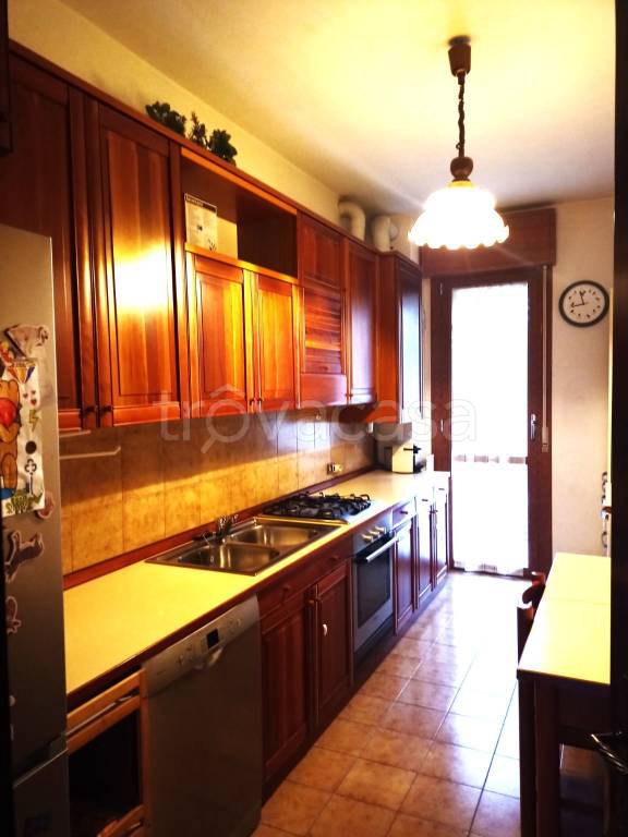 appartamento in affitto a Pontenure