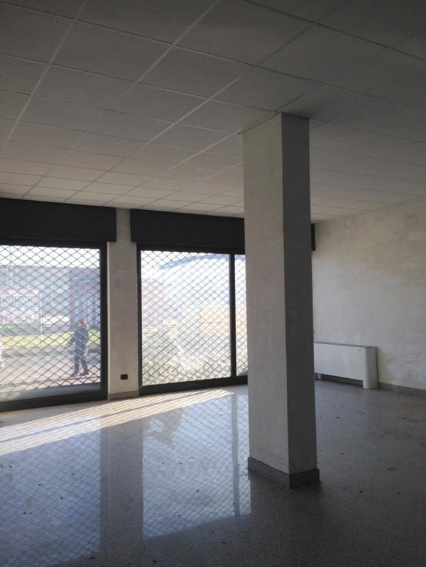 negozio in affitto a Rottofreno