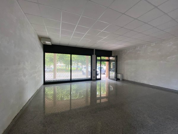 negozio in affitto a Rottofreno