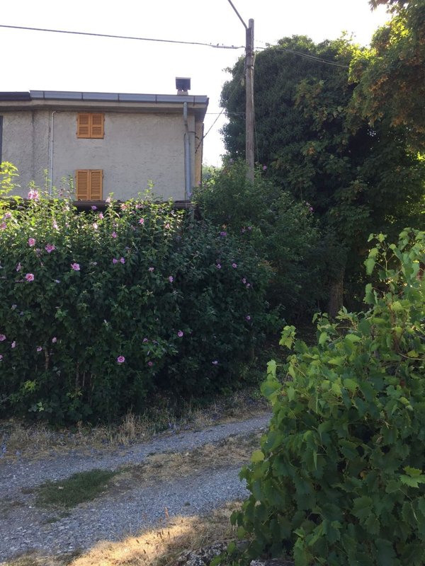 appartamento in affitto a Travo