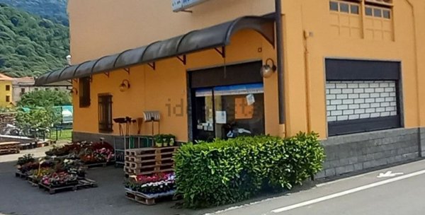 ufficio in affitto a Quarona