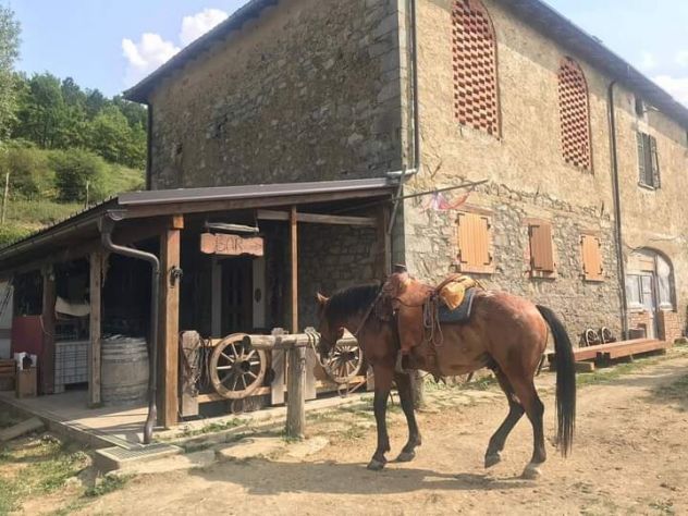 negozio in affitto a Borgo Val di Taro