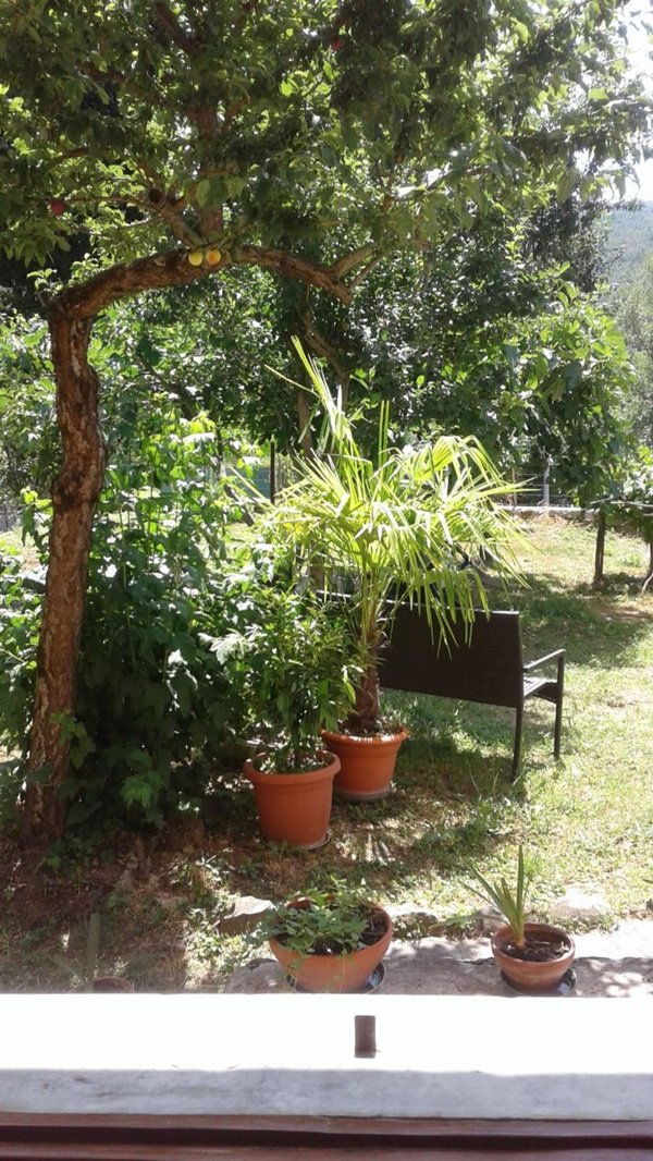 appartamento in affitto a Borgo Val di Taro