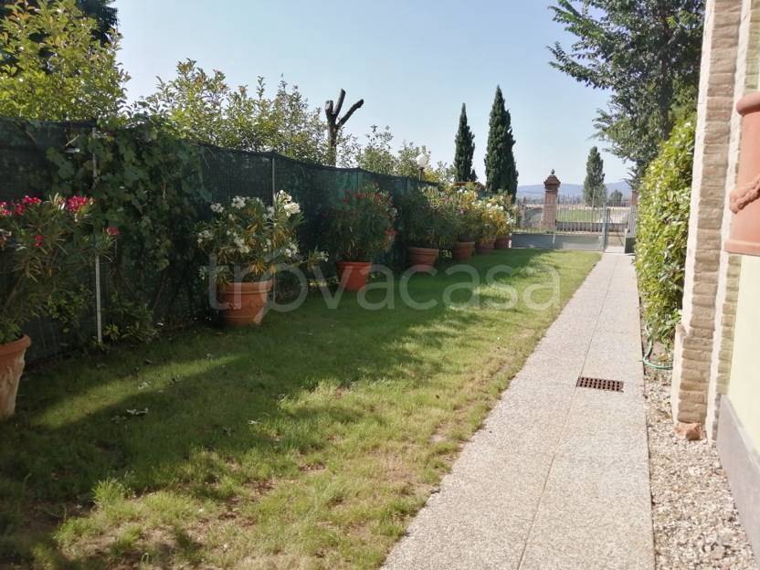 appartamento in affitto a Collecchio in zona San Martino Sinzano