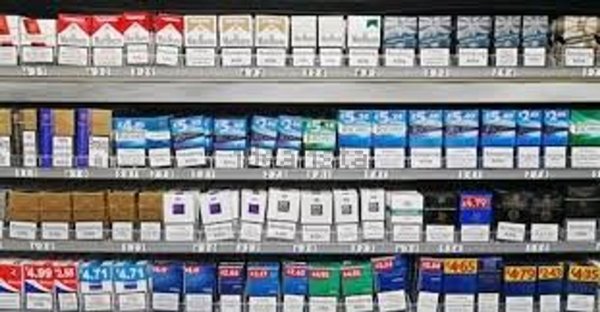 negozio in affitto a Collecchio