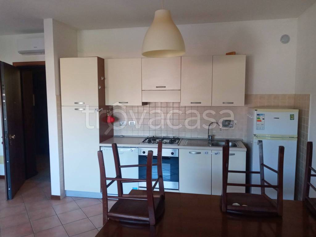 appartamento in affitto a Colorno