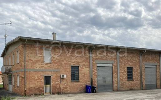 locale commerciale in affitto a Felino