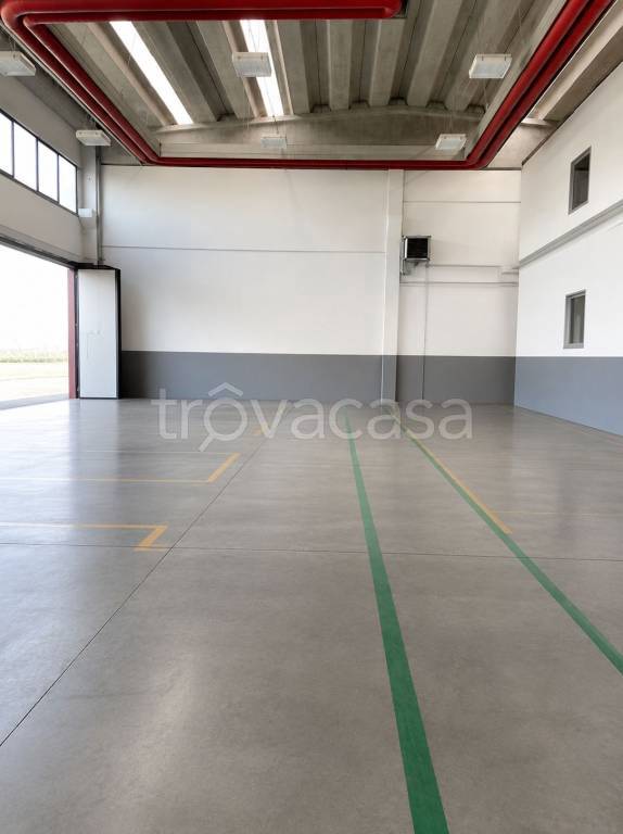 locale commerciale in affitto a Fidenza