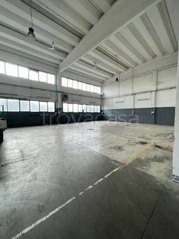 locale commerciale in affitto a Fidenza