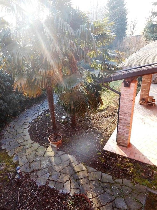 appartamento in affitto a Fontevivo