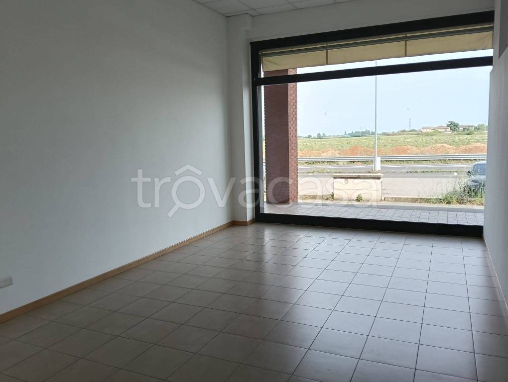 negozio in affitto a Langhirano