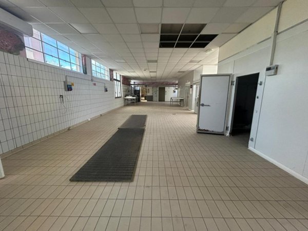 negozio in affitto a Medesano