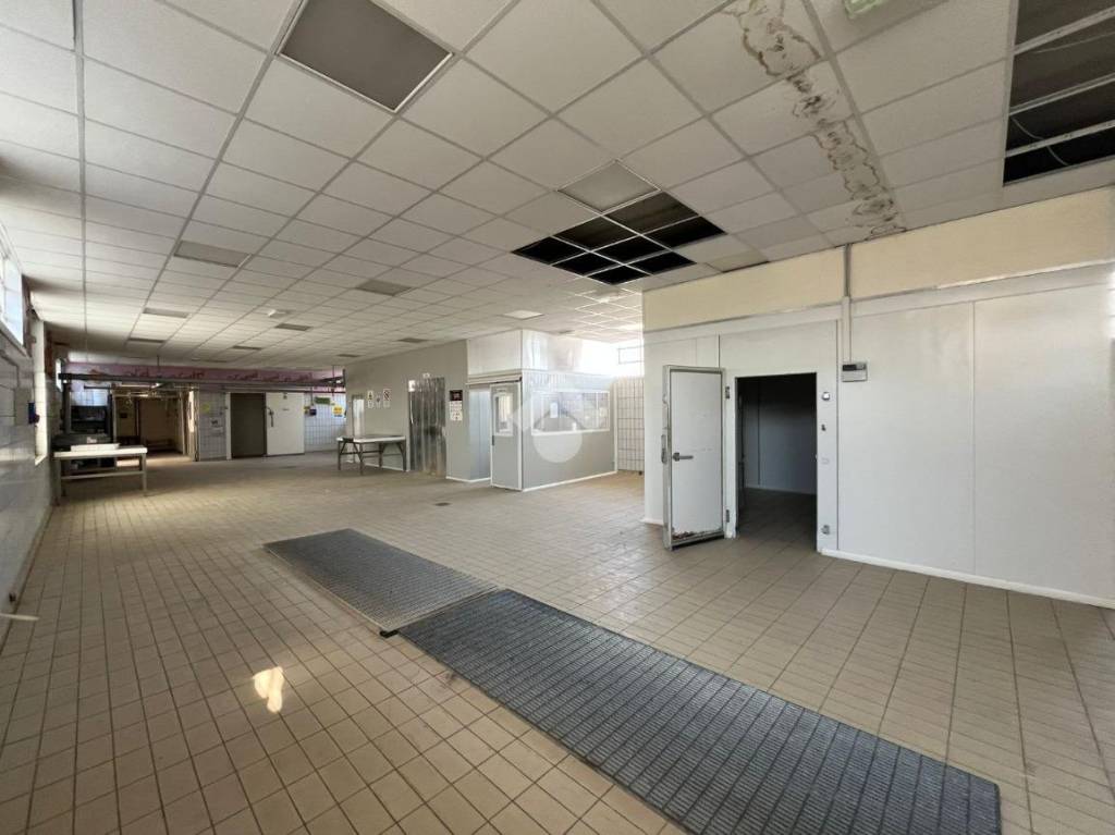 locale commerciale in affitto a Medesano in zona Felegara