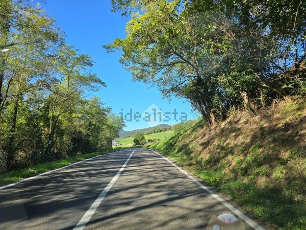 appartamento in affitto a Medesano