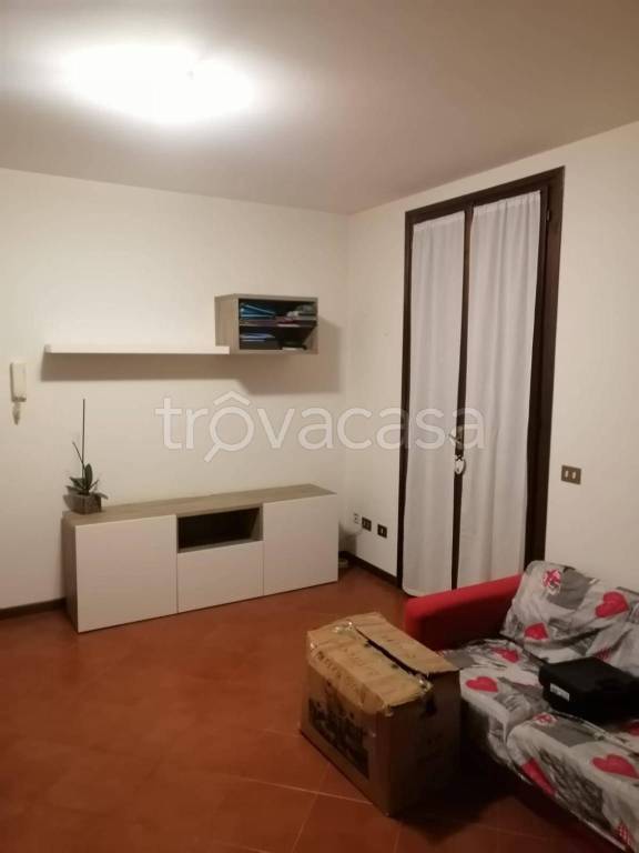 appartamento in affitto a Montechiarugolo in zona Basilicagoiano