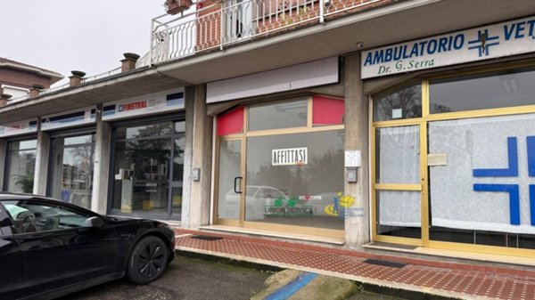 negozio in affitto a Noceto in zona Ponte Taro