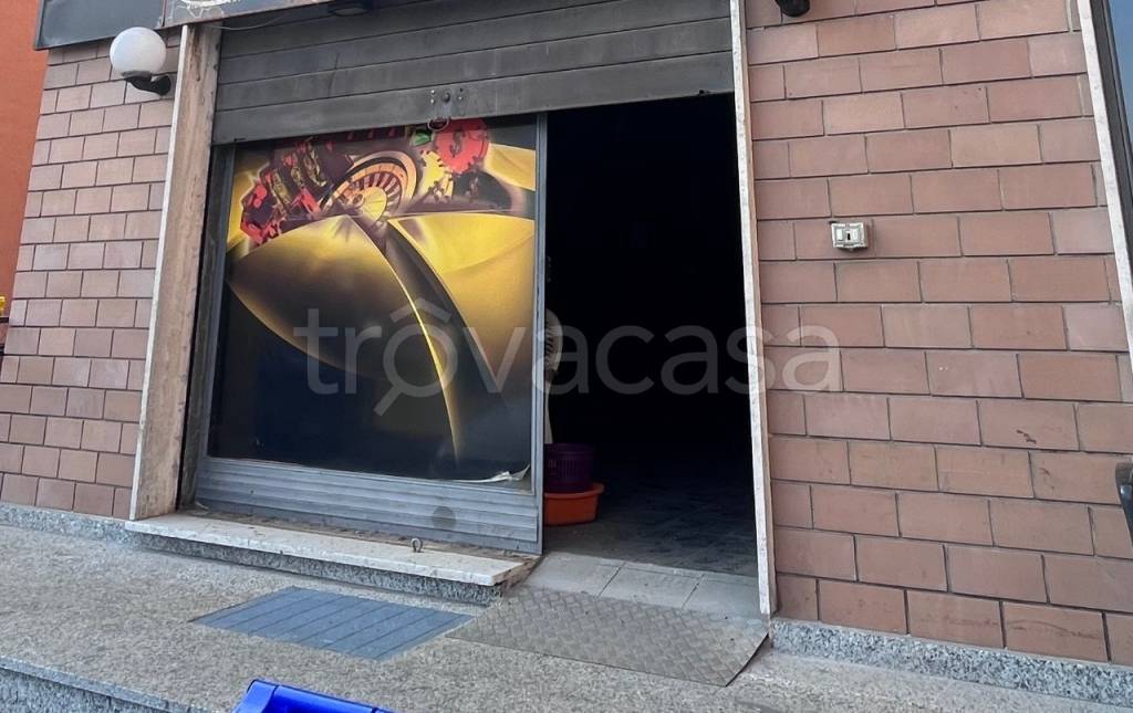 trivano in affitto a Parma