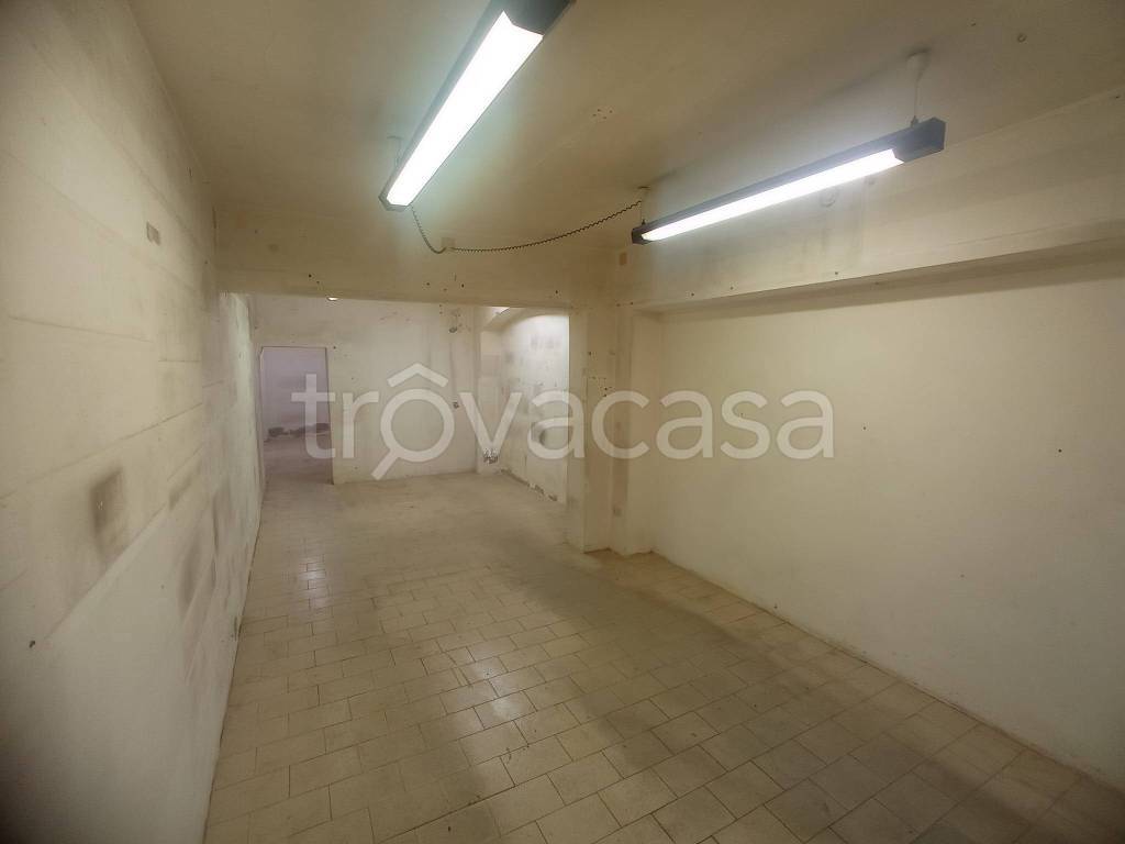 trivano in affitto a Parma in zona Oltretorrente