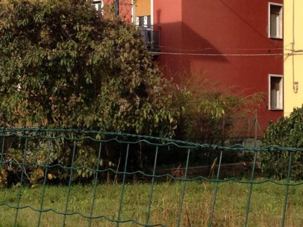 appartamento in affitto a Parma in zona Crocetta