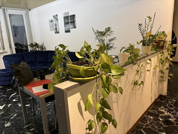 appartamento in affitto a Parma in zona San Leonardo