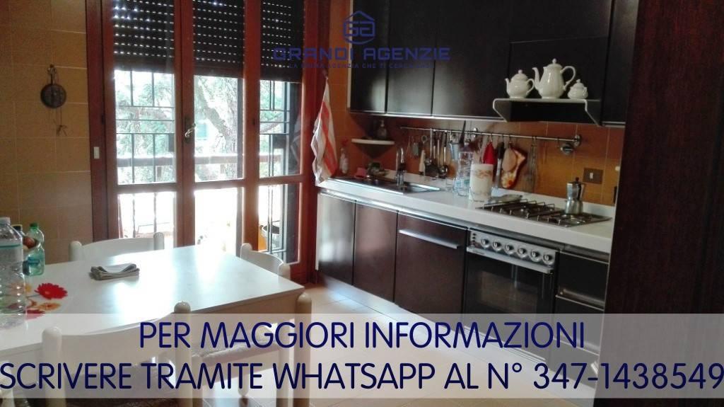 appartamento in affitto a Parma in zona Cittadella