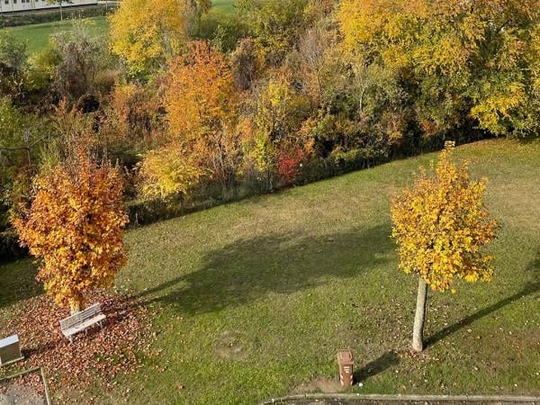 appartamento in affitto a Parma in zona Montanara