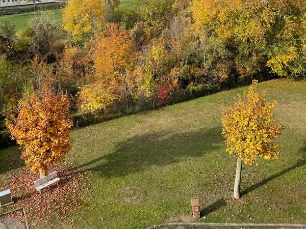 appartamento in affitto a Parma in zona Montanara
