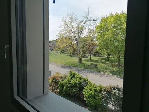 appartamento in affitto a Parma