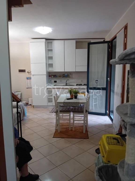 appartamento in affitto a Parma