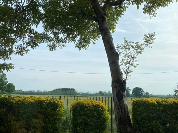 appartamento in affitto a Parma in zona San Prospero
