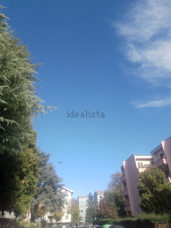 appartamento in affitto a Parma