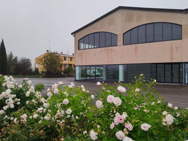 locale commerciale in affitto a Parma in zona San Martino / Paradigna