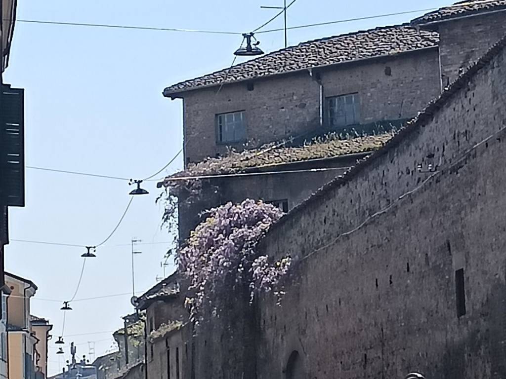 appartamento in affitto a Parma in zona Centro Storico
