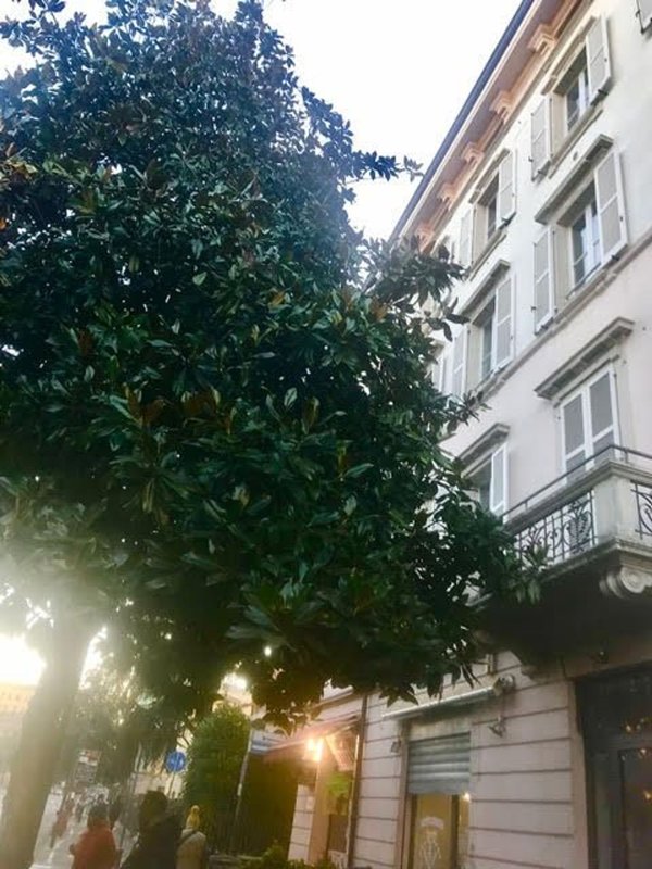 appartamento in affitto a Parma