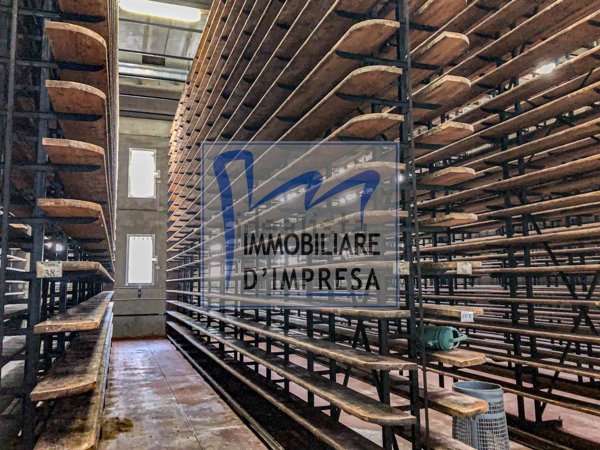 locale di sgombero in affitto a Parma