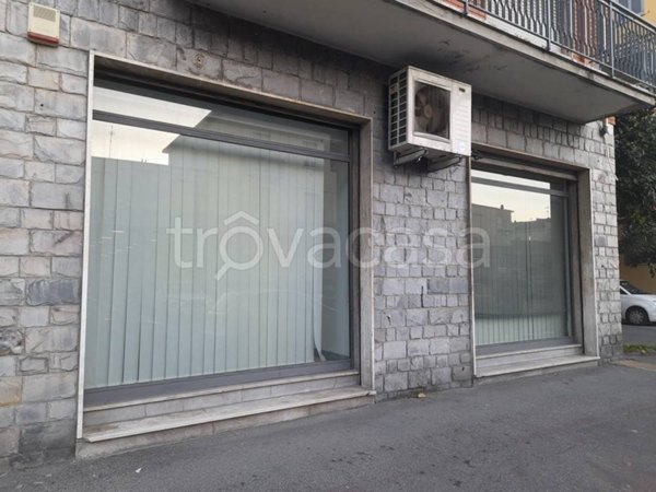 negozio in affitto a Parma in zona Pablo