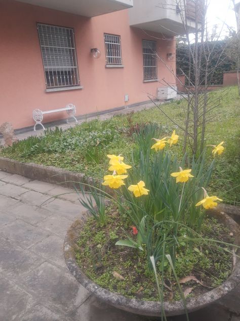 appartamento in affitto a Parma