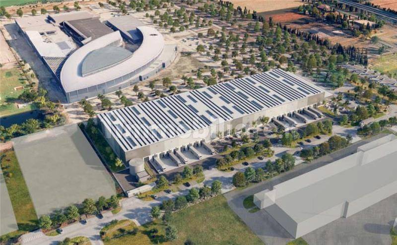 ufficio in affitto a Parma