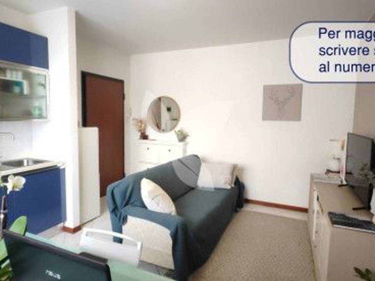 appartamento in affitto a Parma in zona Cittadella