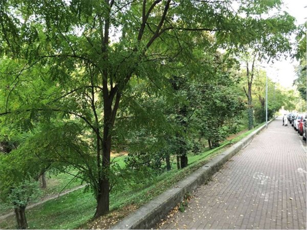 appartamento in affitto a Parma in zona Cittadella