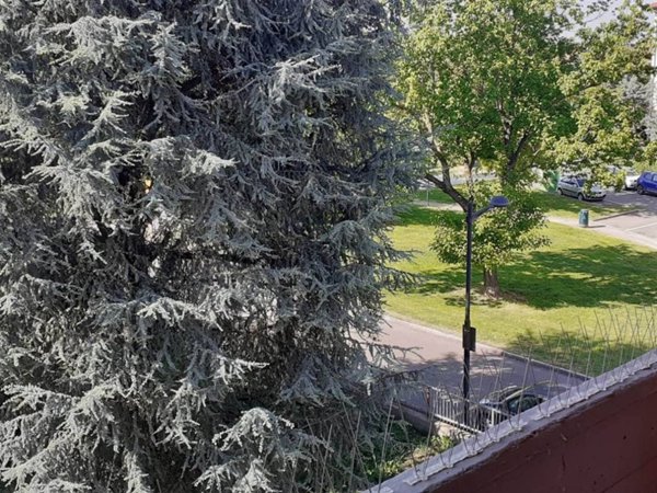 appartamento in affitto a Parma in zona Molinetto